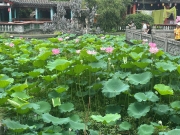 Thumbnail of pic_TB_Tung_016.jpg