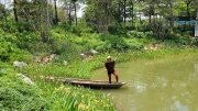Thumbnail of pic_WaiG_072.jpg