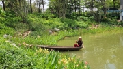 Thumbnail of pic_WaiG_073.jpg