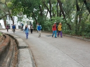 Thumbnail of P5250009.jpg