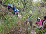 Thumbnail of P5250016.jpg