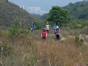 Thumbnail of P5250019.jpg