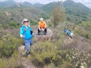 Thumbnail of P5250020.jpg