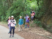 Thumbnail of P5250032.jpg