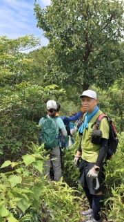 Thumbnail of pic_KL_Sin_038.jpg