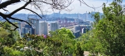 Thumbnail of pic_Derek_Wong_003.jpg