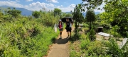 Thumbnail of pic_Derek_Wong_005.jpg