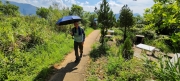 Thumbnail of pic_Derek_Wong_009.jpg