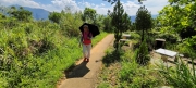 Thumbnail of pic_Derek_Wong_011.jpg