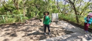 Thumbnail of pic_Derek_Wong_014.jpg