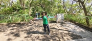 Thumbnail of pic_Derek_Wong_015.jpg