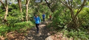 Thumbnail of pic_Derek_Wong_027.jpg