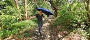 Thumbnail of pic_Derek_Wong_030.jpg