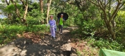 Thumbnail of pic_Derek_Wong_031.jpg