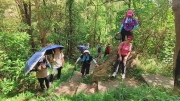 Thumbnail of pic_Derek_Wong_035.jpg