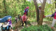 Thumbnail of pic_Derek_Wong_036.jpg