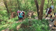 Thumbnail of pic_Derek_Wong_041.jpg