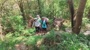 Thumbnail of pic_Derek_Wong_042.jpg