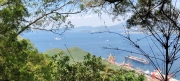 Thumbnail of pic_Derek_Wong_055.jpg