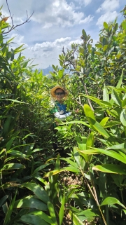 Thumbnail of pic_KW_Li_019.jpg