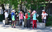 Thumbnail of pic_Shing_Lee_001.JPG