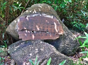 Thumbnail of pic_Shing_Lee_039.JPG