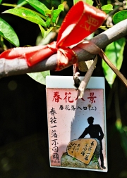 Thumbnail of pic_Shing_Lee_044.JPG