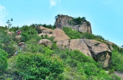 Thumbnail of pic_Shing_Lee_050.JPG
