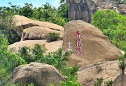 Thumbnail of pic_Shing_Lee_055.JPG