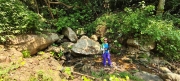 Thumbnail of pic_Derek_Wong_044.jpg
