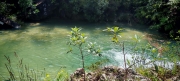 Thumbnail of pic_Cindy_Tse_011.jpg