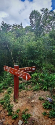 Thumbnail of pic_Cindy_Tse_011.jpg