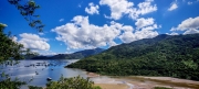 Thumbnail of pic_Cindy_Tse_003.jpg