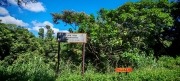 Thumbnail of pic_Cindy_Tse_018.jpg