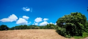 Thumbnail of pic_Cindy_Tse_021.jpg