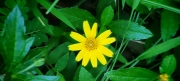 Thumbnail of pic_Cindy_Tse_024.jpg