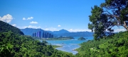 Thumbnail of pic_Cindy_Tse_025.jpg