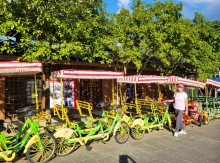 Thumbnail of 20250916_038.jpg