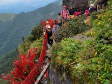 Thumbnail of 20250917_039.jpg