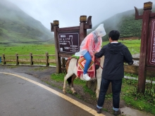 Thumbnail of 20250922_037.jpg