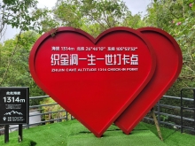 Thumbnail of 20250923_038.jpg