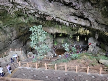 Thumbnail of 20250923_052.jpg