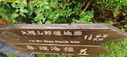 Thumbnail of pic_Derek_Wong_006.jpg