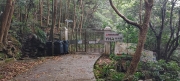 Thumbnail of pic_Derek_Wong_029.jpg