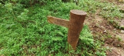 Thumbnail of pic_Derek_Wong_034.jpg