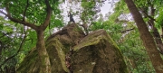 Thumbnail of pic_Derek_Wong_037.jpg