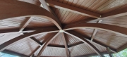 Thumbnail of pic_Derek_Wong_041.jpg