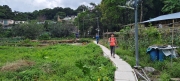 Thumbnail of pic_Derek_Wong_042.jpg