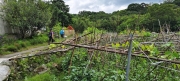 Thumbnail of pic_Derek_Wong_043.jpg