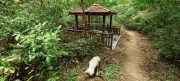 Thumbnail of pic_Derek_Wong_045.jpg